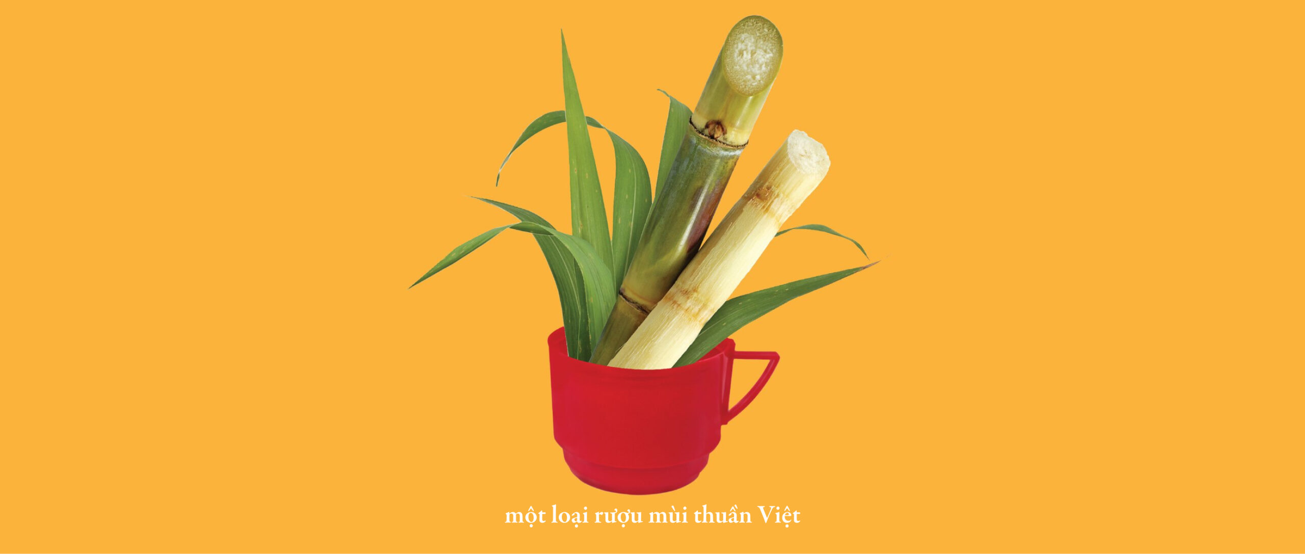 Crème de Coconut Về Để Đi