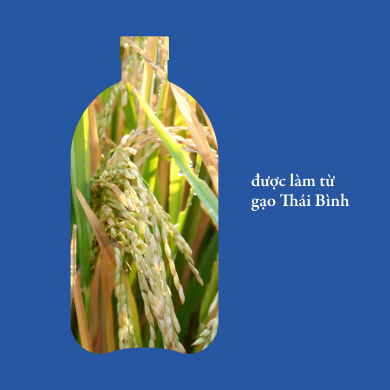 Crème de Coconut gạo Thái Bình