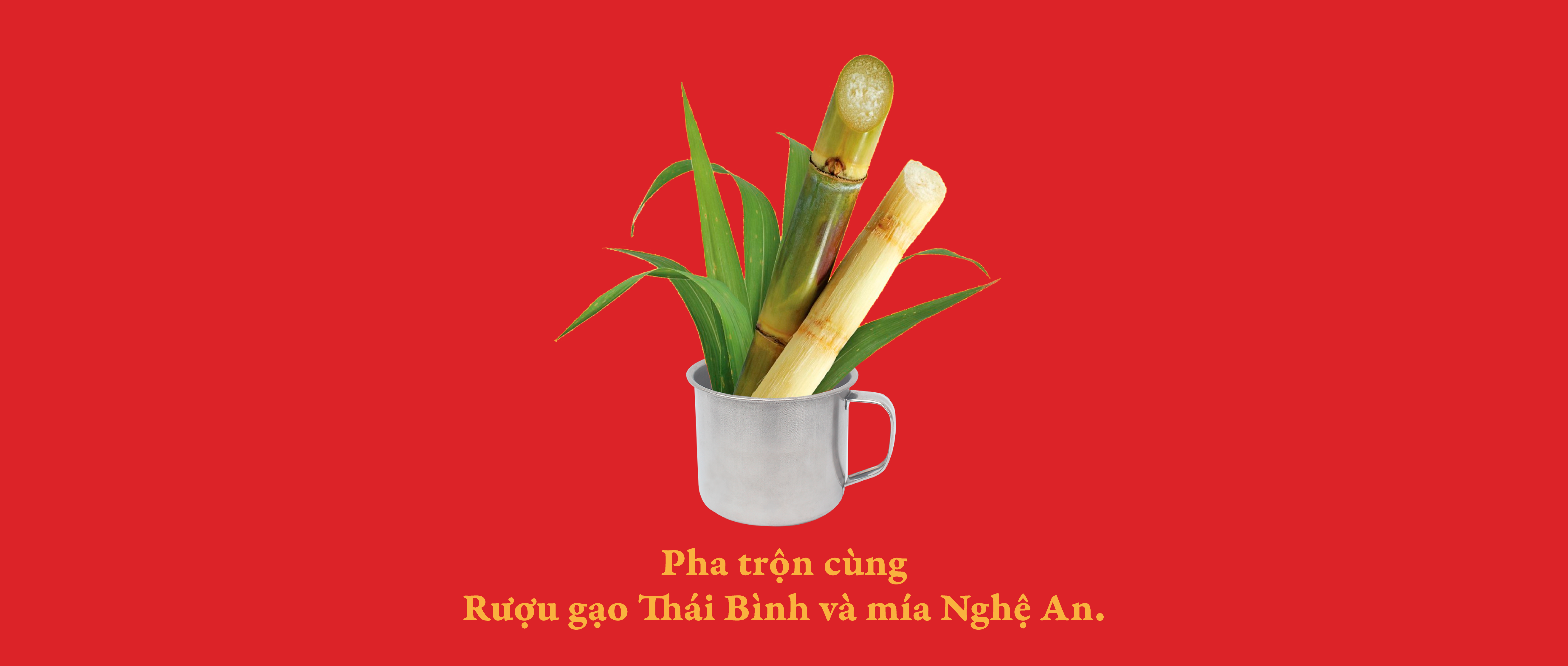 Về Để Đi
